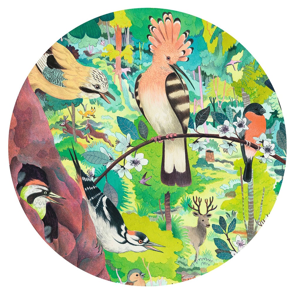 Puzzle Gallery Búhos y pajaros 1000 piezas