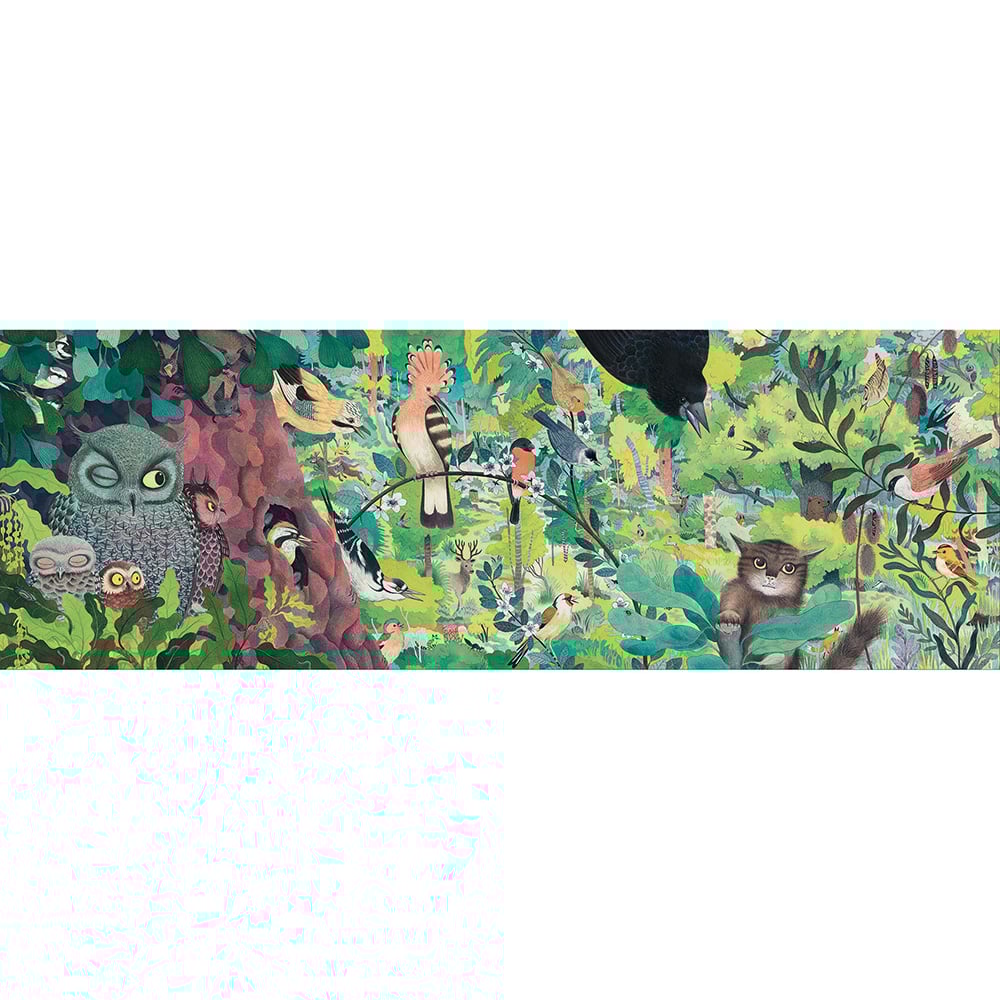 Puzzle Gallery Búhos y pajaros 1000 piezas