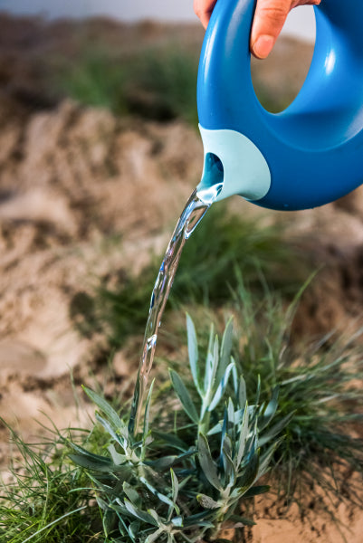 Regadera Cana grande Dark blue