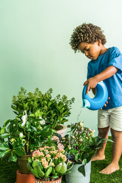 Regadera Cana grande Dark blue